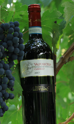 valpolicella-classico