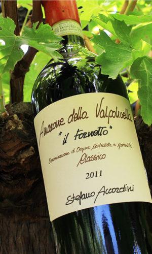 vino-amarone-della-valpolicella-riserva