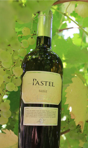 vino-bianco-veronese-pastel