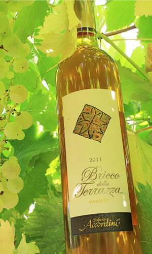 vino-passito-brico-della-terraza