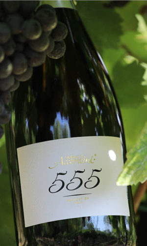 vino-spumante-555