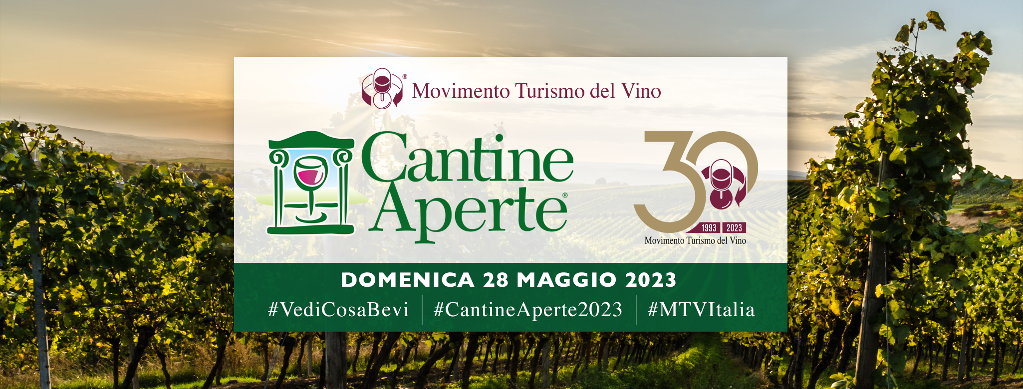 DOMENICA 28 MAGGIO – CANTINE APERTE 2023