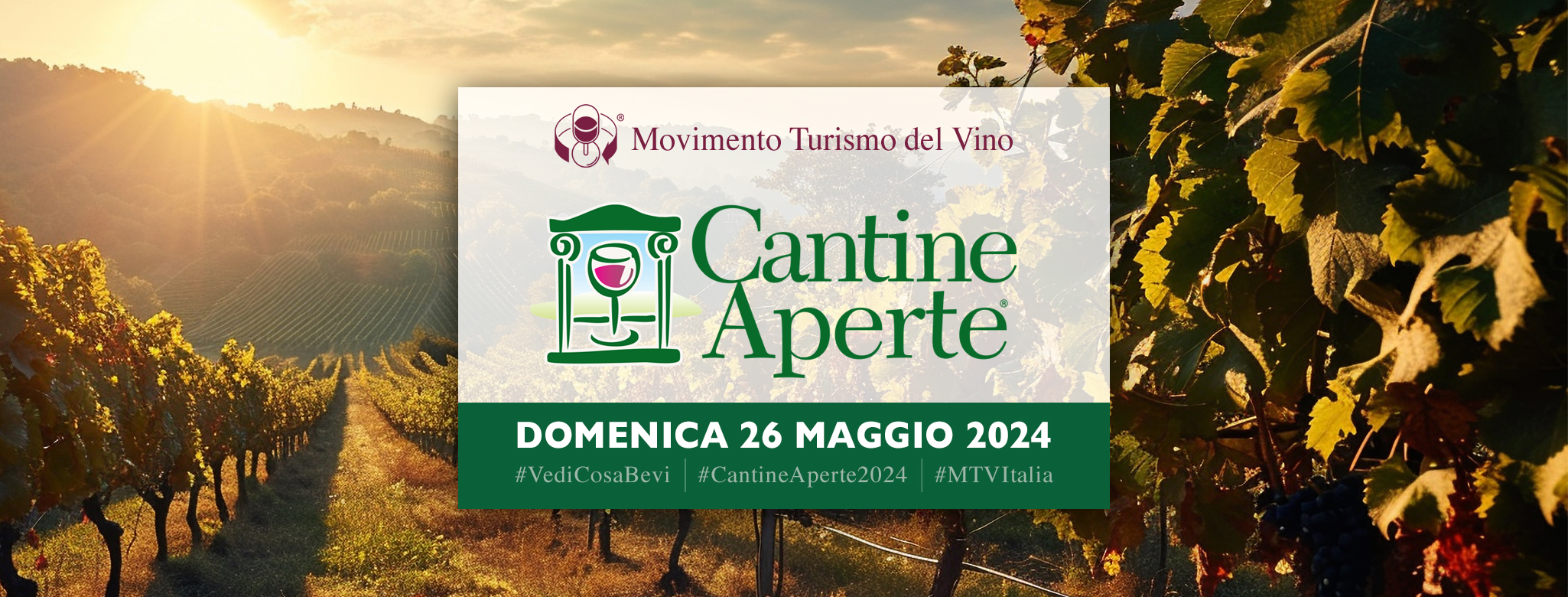 DOMENICA 26 MAGGIO – CANTINE APERTE 2024