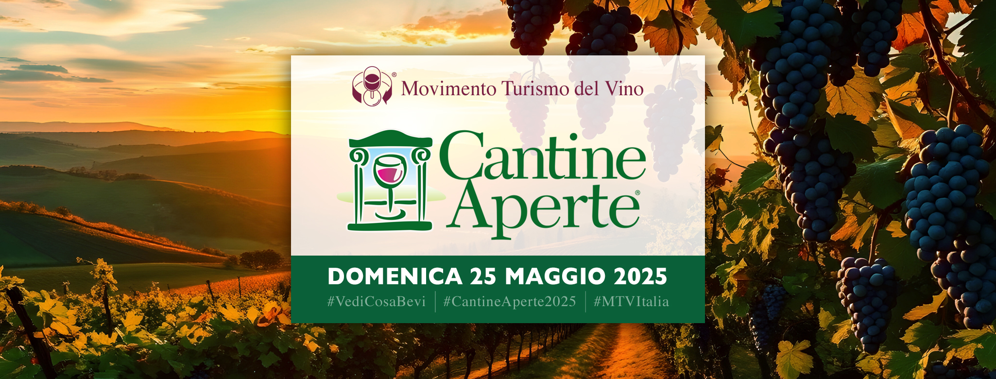CANTINE APERTE 2025 – DOMENICA 25 MAGGIO